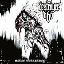 Destryer 666 - Never Surrender (digiCD)
